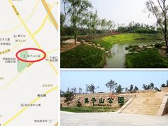 -莫子山公园