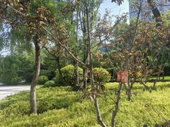 -迎泽公园