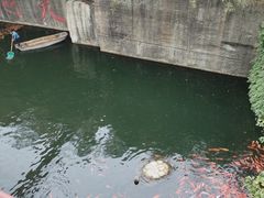 -千岛湖东南湖区