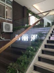 -百丽雅QueenSpa双美中心