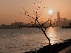 -深圳湾公园(南山区)