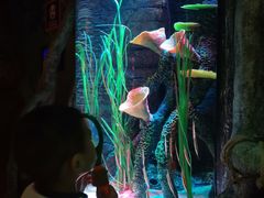 -沈阳海洋探索中心