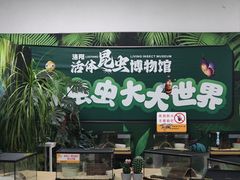 -洛阳龙门海洋馆