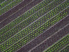 -中国天府农业博览园