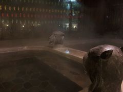 -中家鑫园温泉酒店鑫悦汤泉