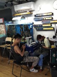 点击看大图 -MDZ STORE·TATTOO·耳饰