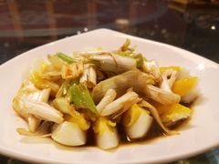-食家鸽园