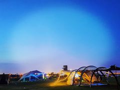 -春花秋色城市公园