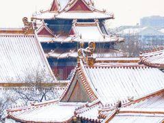 -故宫博物院(故宫)