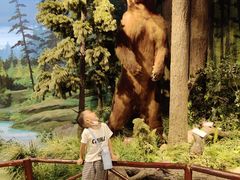 -陕西自然博物馆