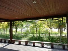 -天津东丽湖风景区