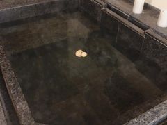 -春晖园度假酒店温泉