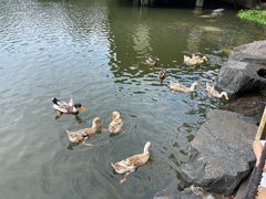-上海怡沁园度假酒店