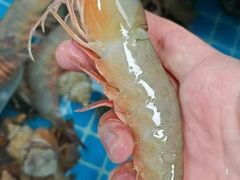 -管氏翅吧(国展店)
