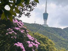 -梧桐山风景名胜区