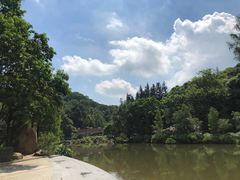 -云溪植物园