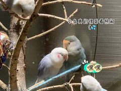 -吾叁·吉趣鸟咖(万科店)