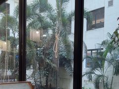 -稻香酒家·34年老字号·港式粤菜(侨光店)
