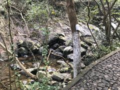 -宁波五龙潭景区