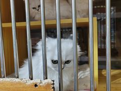 -三旗百汇商品城