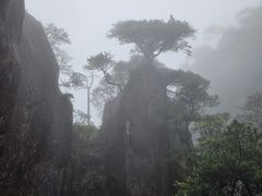 -三清山风景名胜区