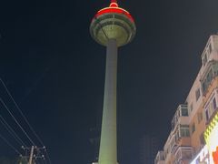 -辽宁电视塔