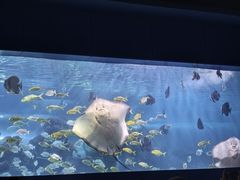 -重庆欢乐海底世界