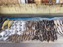 -鑫渔港海鲜本地菜·山海关浑锅(东戴河店)