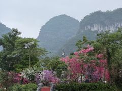 -靖西鹅泉风景区