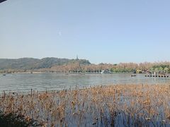 -湖畔居茶楼(湖滨店)