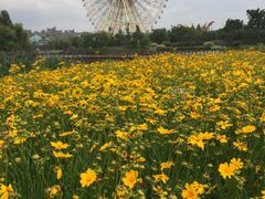 -七彩云南欢乐世界