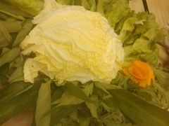 android_upload_pic-河洛鱼庄(古城路店)