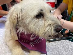 -远洋未来广场(育慧北路店)