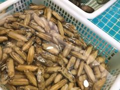 -大方圆酒楼(新颜东路店)