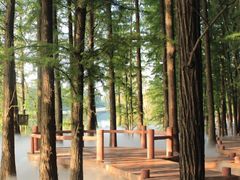 -东湖落雁景区