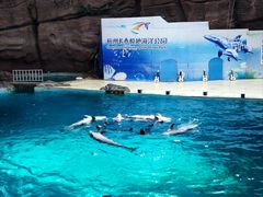 -杭州长乔极地海洋公园