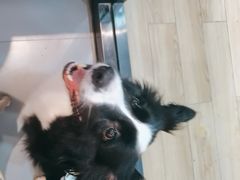 -楚成谷鸭馆(裕民店)