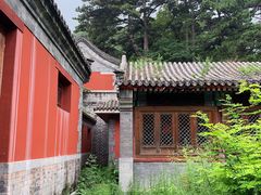 -阳台山自然风景区