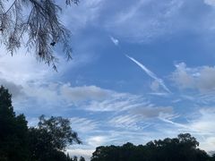 -广州白江湖森林公园