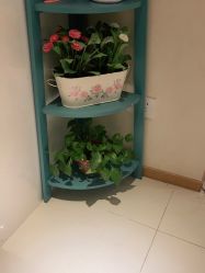 -薇兰专业脱毛连锁机构