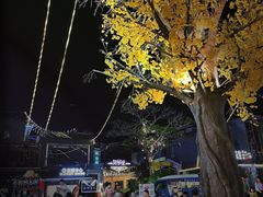 -凤城·食都