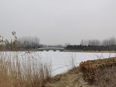 -大兴滨河森林公园