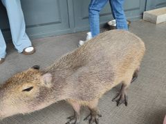 -FAIRYLAND龙族星球主题餐厅(凯丹广场店)