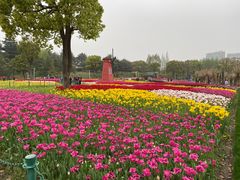 -大宁公园