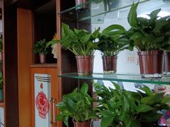 -静沐人生养生馆(佳宁娜分店)