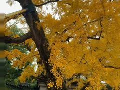 -无锡惠山寺