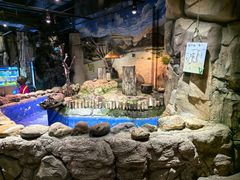-正佳雨林生态植物园