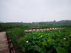 -怀来官厅水库