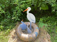 -华侨城湿地公园