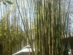 门面-新竹里馆·花园餐厅(兴苑路店)